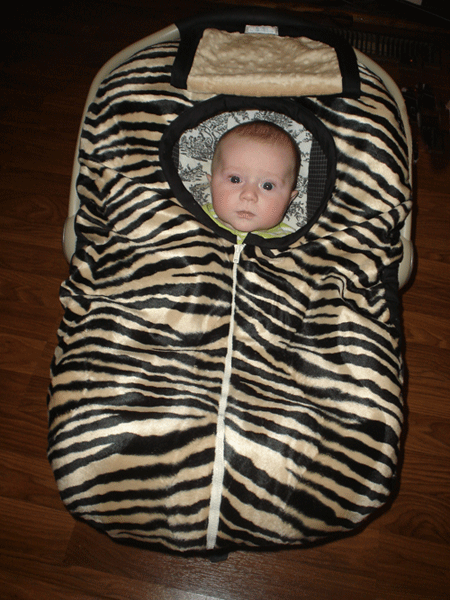 Truman Carrier Cover