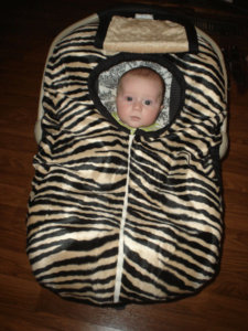 Carrier Cover